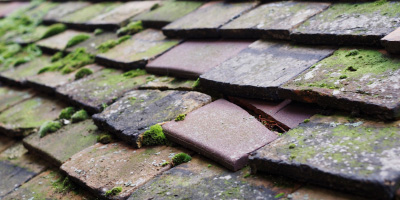 Longnor roof repair costs